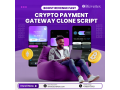 kickstart-your-fintech-journey-plug-and-play-crypto-payment-gateway-clone-script-small-0