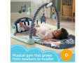 fisher-price-baby-playmat-kick-play-piano-gym-musical-and-sensory-toys-for-newborn-to-toddler-navy-fawn-small-0